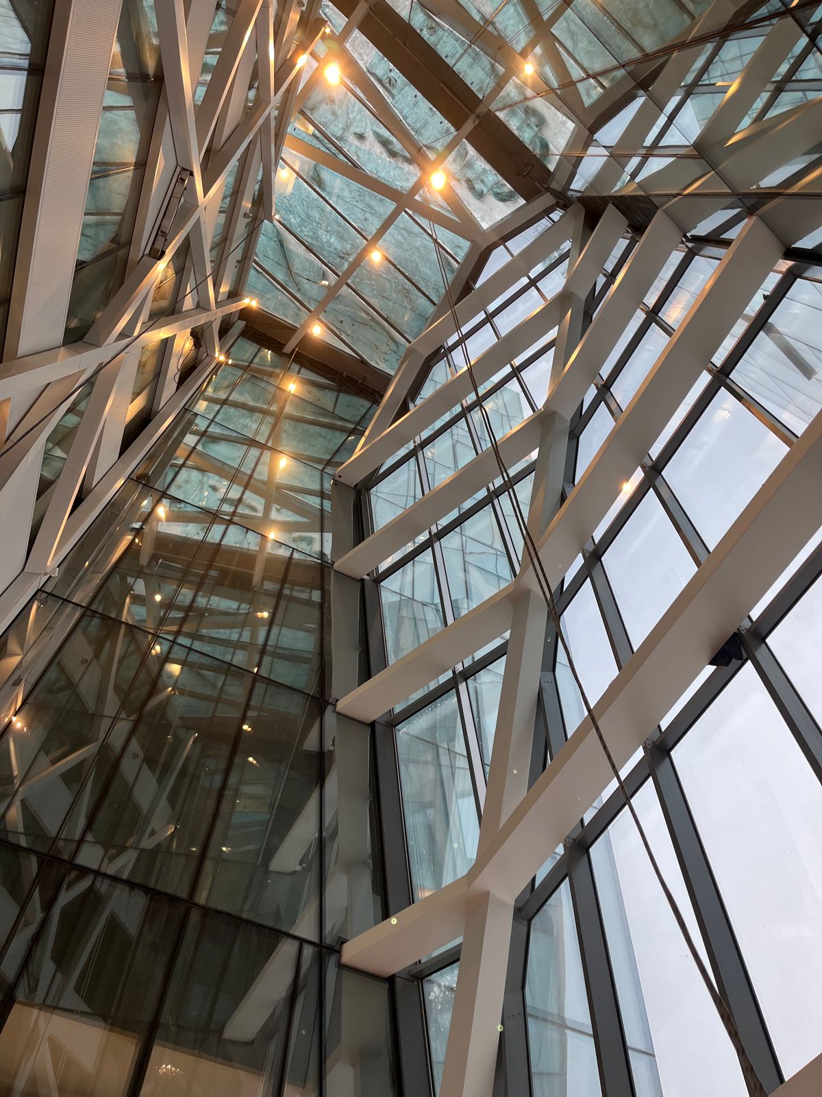 WhatsApp Image 2024-02-20 at 2.15.01 PM